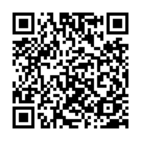 QR code for 029 NPP