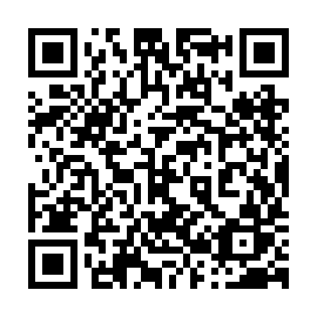 QR code for 029 RIR