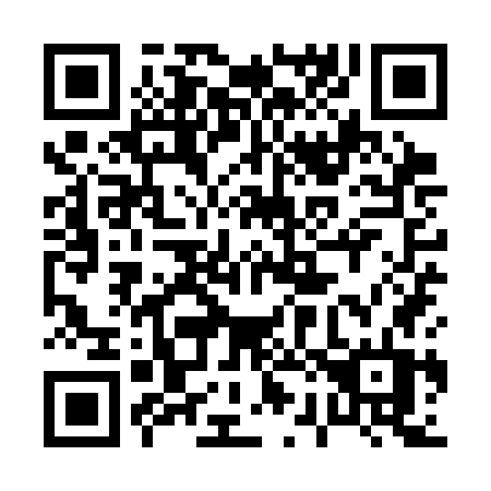 QR code for 029 SGT