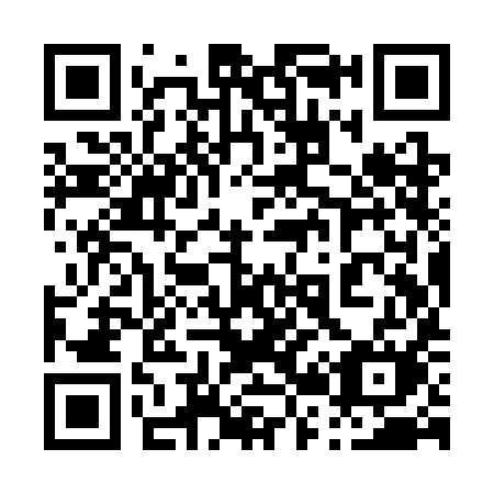 QR code for 029 SIM