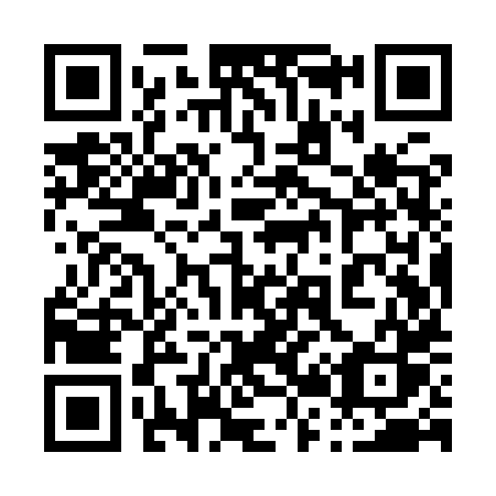 QR code for 029 YXS