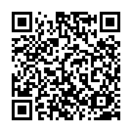 QR code for 0291CO