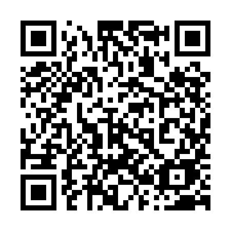 QR code for 0291IE