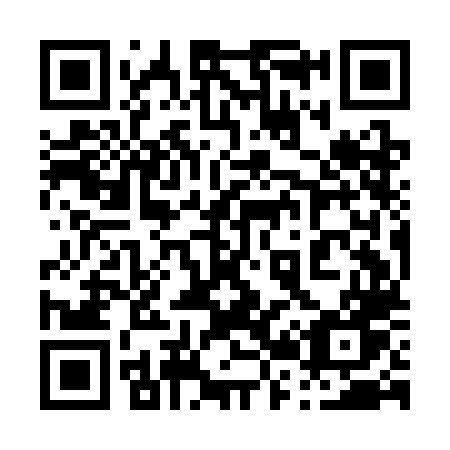 QR code for plate 029 CLW