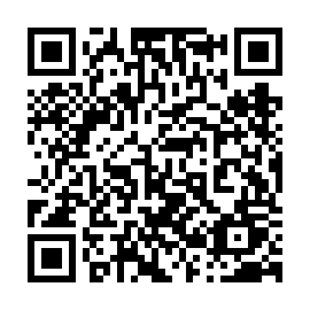 QR code for plate 029 FOT