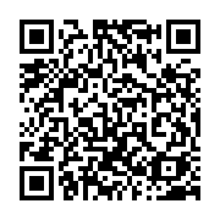 QR code for plate 029 IWI