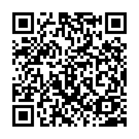 QR code for plate 029 QGU