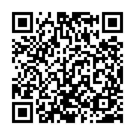 QR code for plate 029 UMS