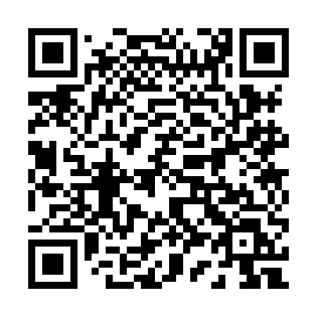 QR code for 0338EL