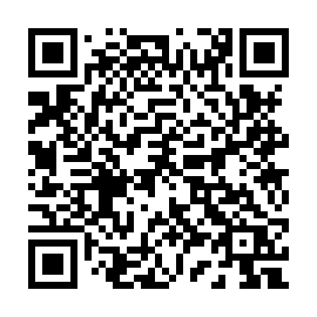 QR code for 0338RR