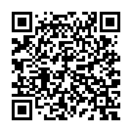 QR code for plate 036 FON