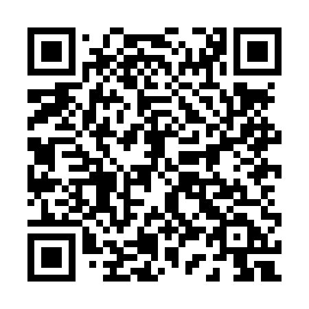 QR code for 038 LUD
