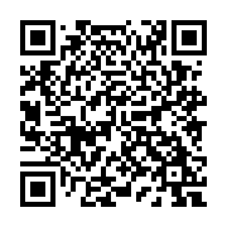 QR code for 0385BO