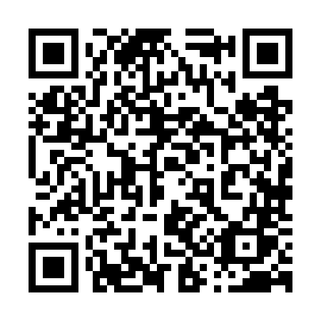QR code for 0387NS