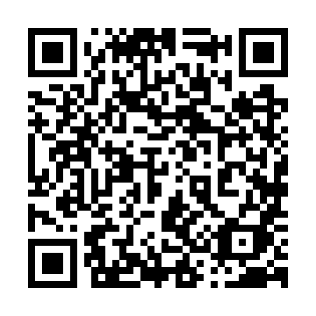 QR code for 0387XI