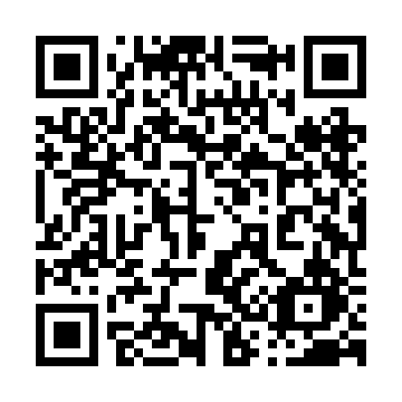 QR code for plate 038 BBN