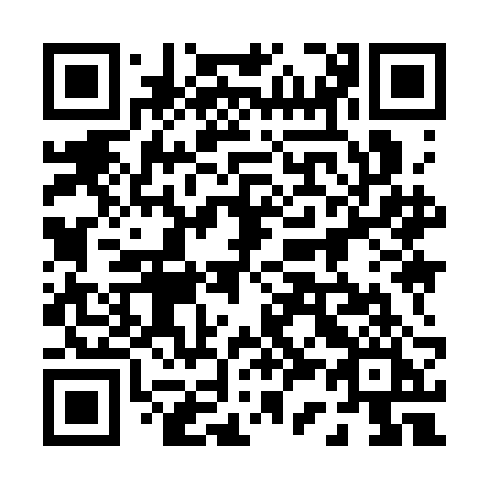 QR code for 0393BI