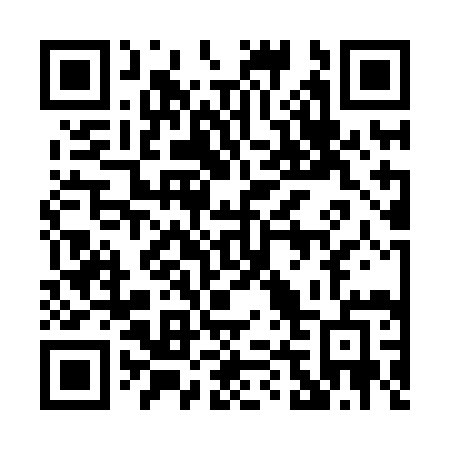 QR code for 0438IE