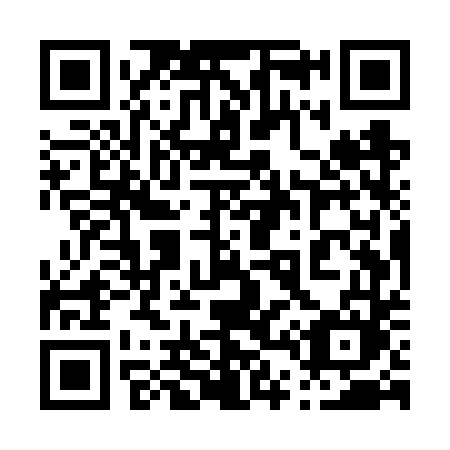 QR code for plate 045 VTM