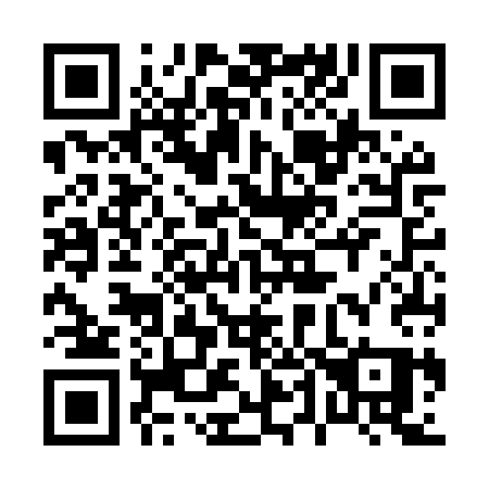 QR code for 046 MSQ