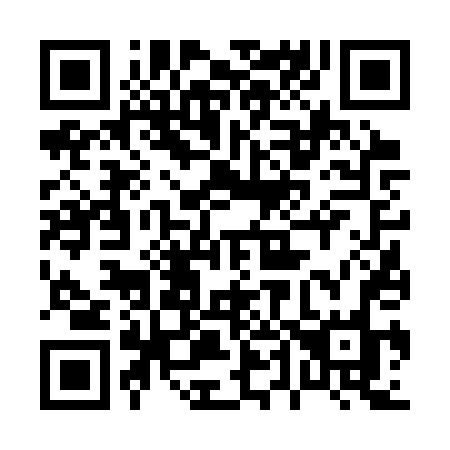 QR code for plate 046 3TO