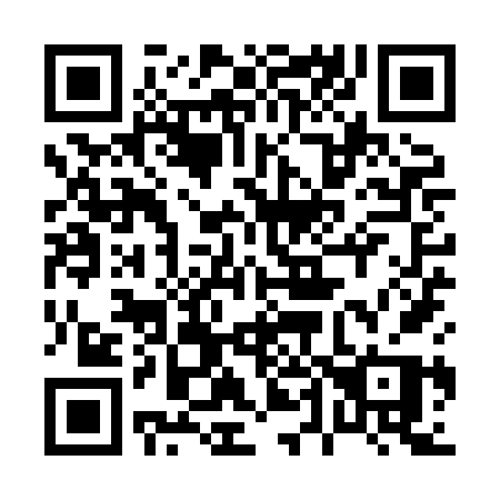 QR code for plate 049 XFP