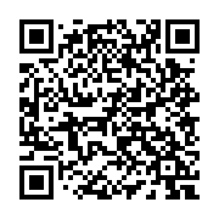 QR code for plate 060 0ZG