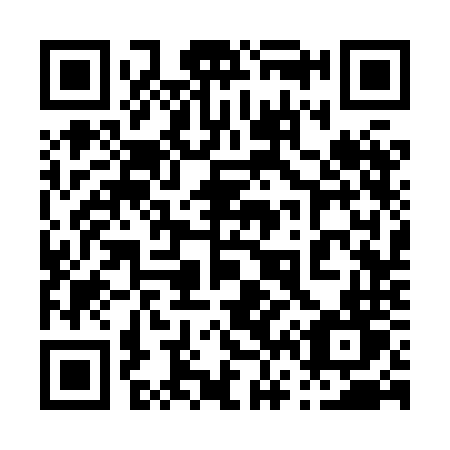 QR code for 0638NT