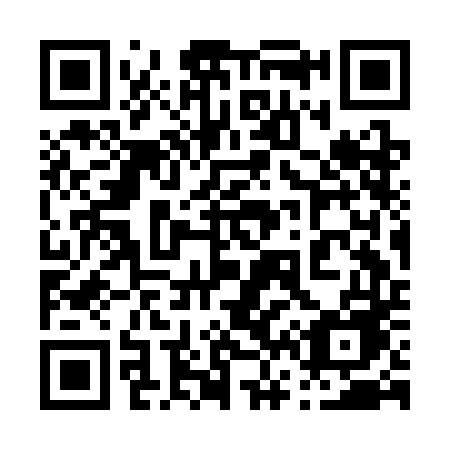 QR code for plate 063 CDE