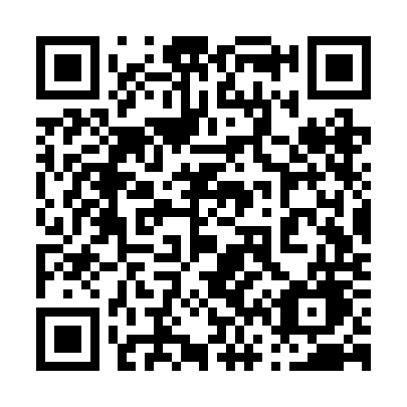 QR code for plate 063 ROG