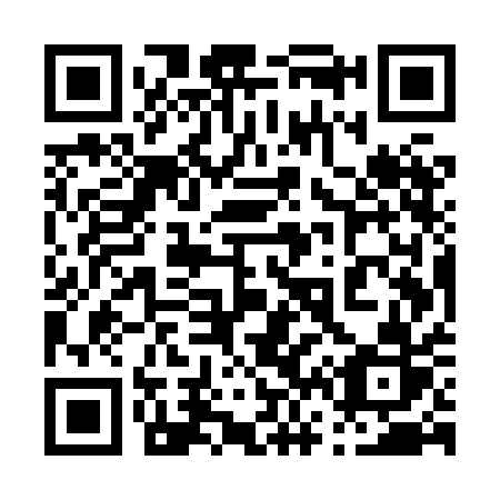 QR code for plate 065 XAR