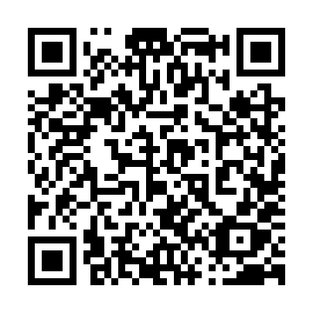 QR code for plate 066 3XX