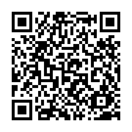 QR code for plate 069 LKN