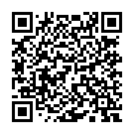 QR code for 100 LMI