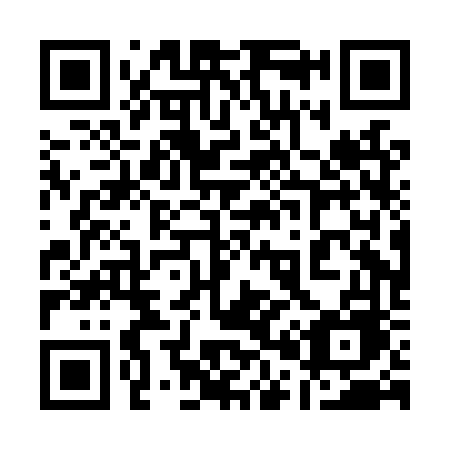 QR code for plate 100 LVE