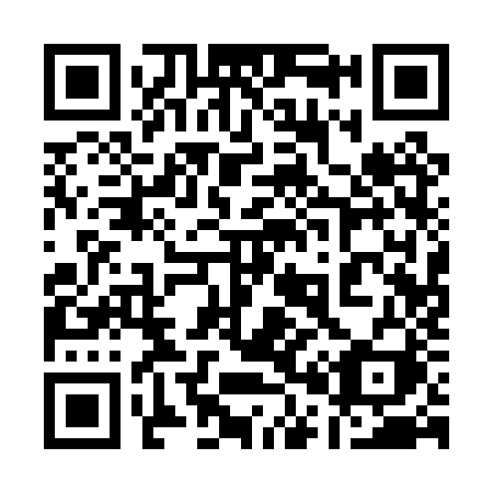 QR code for 1010ZI