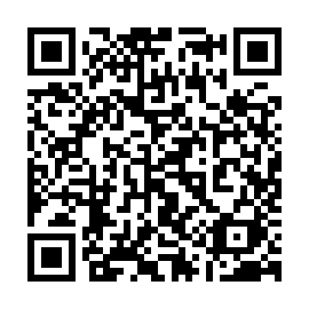 QR code for 1119ZI