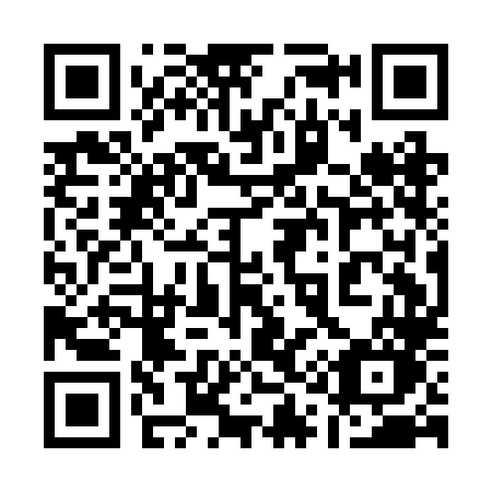 QR code for plate 111 BLO