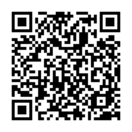 QR code for 119 UDA