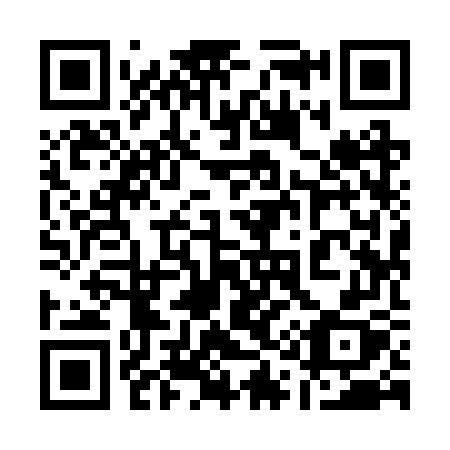 QR code for plate 119 2WX