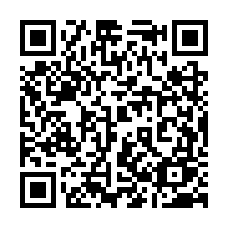 QR code for 125SVU