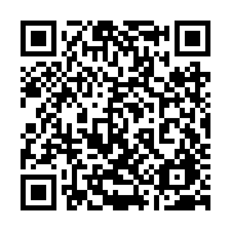 QR code for plate 133 BZG