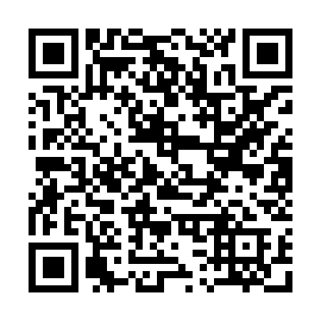 QR code for plate 133 HSA