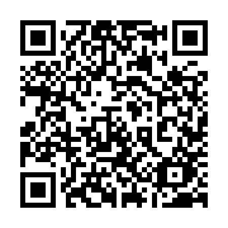 QR code for 1369PO