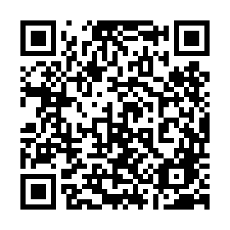 QR code for 138TDG