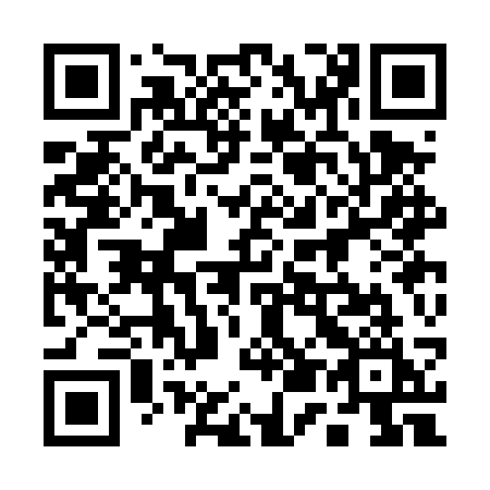 QR code for 153 DSI