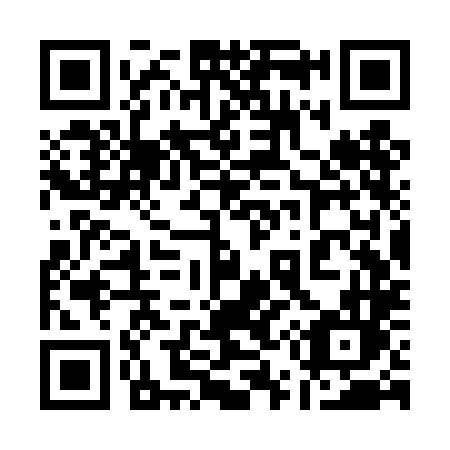QR code for plate 153 TLL
