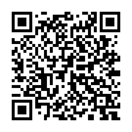QR code for 161 WFP