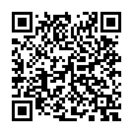 QR code for plate 161 DQP