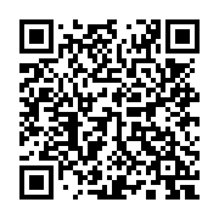QR code for 161NPE